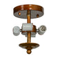 Meyda Lighting Commerce 20" 4-Light Transparent Copper Semi-flush Mount Ceiling Light With Tawnyrock Idalight Shade Glass