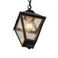 Meyda Lighting Cranz 6"Sq Craftsman Brown Lantern Mini Pendant Light With Clear Seeded Shade Glass