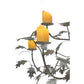 Meyda Lighting Diamond & Jewel 63" 12-Light 9-Arm Timeless Bronze Oak Leaf Chandelier With Amber Shade