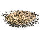 Meyda Lighting Espe 40" 8-Light Dark Burnished Antique Copper Semi-flush Mount Light With Beige Fleshtone Idalight Shade