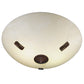 Meyda Lighting Essence 18" 2-Light Cafe Noir Semi-flush Mount Light With Whitestone Idalight Shade