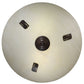 Meyda Lighting Essence 18" 2-Light Cafe Noir Semi-flush Mount Light With Whitestone Idalight Shade