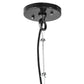 Meyda Lighting Euri Tanta 14" Black Chrome Pendant Light With Clear Shade Glass