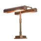 Meyda Lighting Fargo 16" 2-Light Vintage Brass Banker's Table Lamp