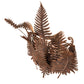 Meyda Lighting Fern 20" Hand Painted Rust Wall Sconce