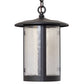 Meyda Lighting Fulton 10" Wrought Iron Prime Pendant Light With Clear Seeded Shade Glass