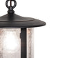 Meyda Lighting Fulton 10" Wrought Iron Prime Pendant Light With Clear Seeded Shade Glass