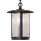 Meyda Lighting Fulton 10" Wrought Iron Prime Pendant Light With Clear Seeded Shade Glass