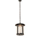 Meyda Lighting Fulton 14" Craftsman Brown Prime Pendant Light With Clear Seeded Shade Glass