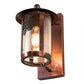 Meyda Lighting Fulton 221039 8" Vintage Copper Winter Pine Solid Mount Wall Sconce With Clear Seeded Shade Glass