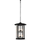 Meyda Lighting Fulton 24" 8-Light Textured Black Hanging Lantern Pendant Light With Clear Seeded Shade Glass