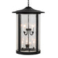 Meyda Lighting Fulton 24" 8-Light Textured Black Hanging Lantern Pendant Light With Clear Seeded Shade Glass