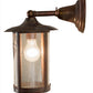 Meyda Lighting Fulton 54235 8" Vintage Copper Winter Pine Solid Mount Wall Sconce With Clear Seeded Shade Glass