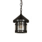 Meyda Lighting Fulton 8" Black On Brass Mini Pendant Light With Clear Seeded Shade Glass