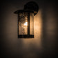 Meyda Lighting Fulton 8" Solar Black Winter Pine Solid Mount Wall Sconce With Clear Shade Glass