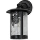 Meyda Lighting Fulton 8" Solar Black Winter Pine Solid Mount Wall Sconce With Clear Shade Glass