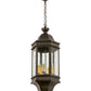 Meyda Lighting Gascony 15" 6-Light Golden Bronze Pendant Light With Clear Seeded Shade Glass