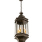 Meyda Lighting Gascony 15" 6-Light Golden Bronze Pendant Light With Clear Seeded Shade Glass