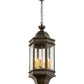 Meyda Lighting Gascony 15" 6-Light Golden Bronze Pendant Light With Clear Seeded Shade Glass