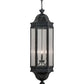 Meyda Lighting Gascony 18" 6-Light Antique Iron Gate Lantern Pendant Light With Clear Seeded Shade Glass