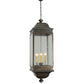 Meyda Lighting Gascony 25" 6-Light Gilded Tobacco Lantern Pendant Light With Clear Shade Glass