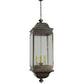 Meyda Lighting Gascony 25" 6-Light Gilded Tobacco Lantern Pendant Light With Clear Shade Glass