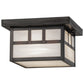 Meyda Lighting Hyde Park 14" Craftsman Brown Double Bar Mission Flush Mount Light With White Art Shade Glass