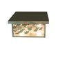 Meyda Lighting Hyde Park 20" 2-Light Verdigris Brass Ginkgo Flush Mount Light With Clear Seeded Shade Glass