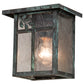 Meyda Lighting Hyde Park 8" Verdigris Sprig Wall Sconce With Clear Leaf Shade Glass