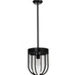 Meyda Lighting Jaula 10" Solar Black Pendant Light With Clear Shade Glass