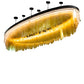 Meyda Lighting Kepley 168" LED Solar Black Chandelier With Amber Rainstone Idalight Shade