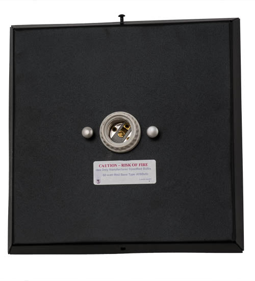 Meyda Lighting Lone Wolf 10" Black Wall Sconce With Clear Seeded Shade Glass