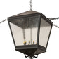 Meyda Lighting Madeline 45" 10-Light Blackwash Pendant Light With Clear Seeded Shade Glass