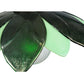 Meyda Lighting Metro Fusion 11" Oil Rubbed Bronze Bodnant Mini Pendant Light With Green and Mint Green Shade Glass