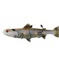 Meyda Lighting Metro Fusion 81502 29" 2-Light Tarnished Copper Rainbow Trout Wall Sconce With Multi-Colored Shade Glass