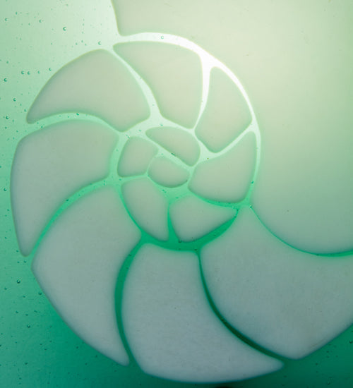 Meyda Lighting Metro Fusion 9" Nickel Nautilus Wall Sconce With Aqua Green & White Shade Glass