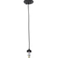 Meyda Lighting Milk Bottle 5" LED Black Mini Pendant Light With Frosted Clear Shade Glass