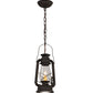 Meyda Lighting Miners Lantern 7" 2-Light Dark Roast Mini Pendant Light With Clear Shade Glass