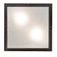 Meyda Lighting Monaca 21" 2-Light Black Cracked Ice Flush Mount Light With Frosted Seeded Shade Glass