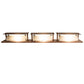 Meyda Lighting Moss 36" 3-Light Cinnamon Coffee Metallic Creekside Vanity Light