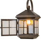 Meyda Lighting Myles 8" Gilded Tobacco Wall Sconce With Clear Seeded Shade Glass
