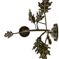Meyda Lighting Oak Leaf & Acorn 11" Timeless Bronze Wall Sconce With Ivory Faux Candlelight