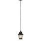 Meyda Lighting Palmer 12" 2-Light Black Patina Pendant Light With Clear Seeded Shade Glass