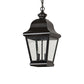 Meyda Lighting Palmer 12" 2-Light Black Patina Pendant Light With Clear Seeded Shade Glass