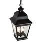 Meyda Lighting Palmer 12" 2-Light Black Patina Pendant Light With Clear Seeded Shade Glass