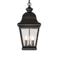 Meyda Lighting Palmer 12" 2-Light Black Patina Pendant Light With Clear Seeded Shade Glass