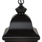 Meyda Lighting Palmer 12" 2-Light Black Patina Pendant Light With Clear Seeded Shade Glass