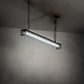 Meyda Lighting Paloma Golpe 49" 2-Light Flat Black Island Pendant Light
