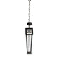 Meyda Lighting Paloma Golpe 49" 2-Light Flat Black Island Pendant Light