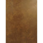 Meyda Lighting Piastra 18" LED Art Deco Gold Left Wall Sconce